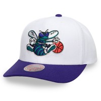 Casquette Charlotte Hornets NBA 2 Tone Pro Snapback Mitchell and Ness Blanche