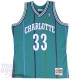 Maillot NBA Charlotte Hornets d'Alonzo Mourning - Mitchell and Ness "Swingman"