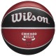 Ballon NBA Team Tribute Chicago Bulls Wilson