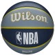 Ballon NBA Team Tribute Memphis Grizzlies Wilson